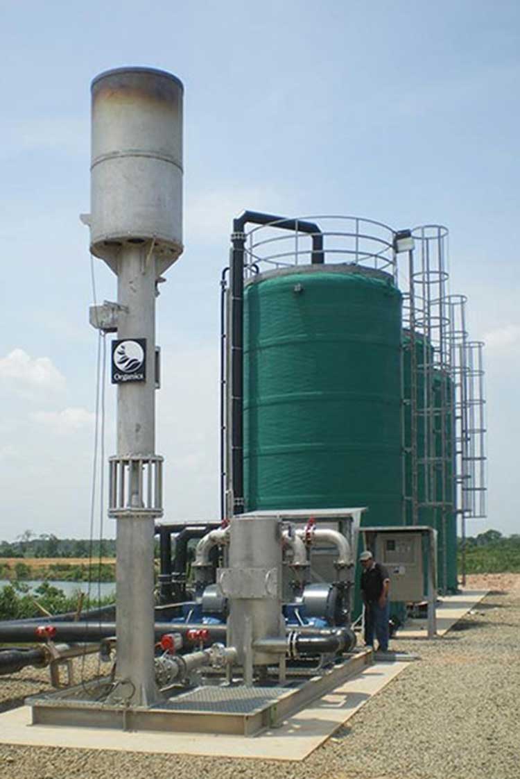 Biogas Flare system4