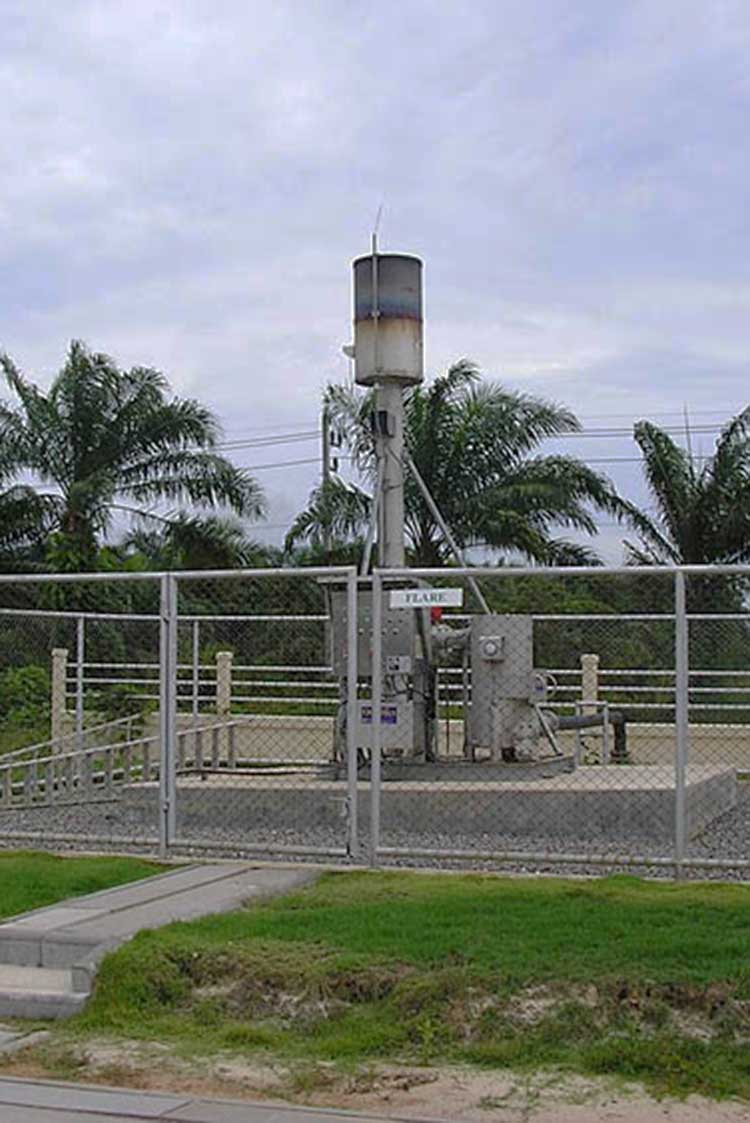 Biogas Flare system5
